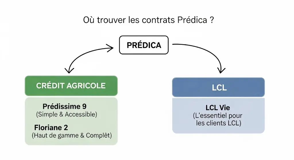 Une infographie dessinée à la main montre la structure de distribution des contrats Predica. Deux flèches partent d'une boîte centrale "PREDICA" vers deux réseaux : "Crédit Agricole" et "LCL". Sous chaque réseau sont listés les contrats correspondants, comme "Predissime 9" et "Floriane 2" pour le Crédit Agricole.