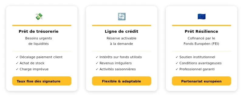Infographie avanseo