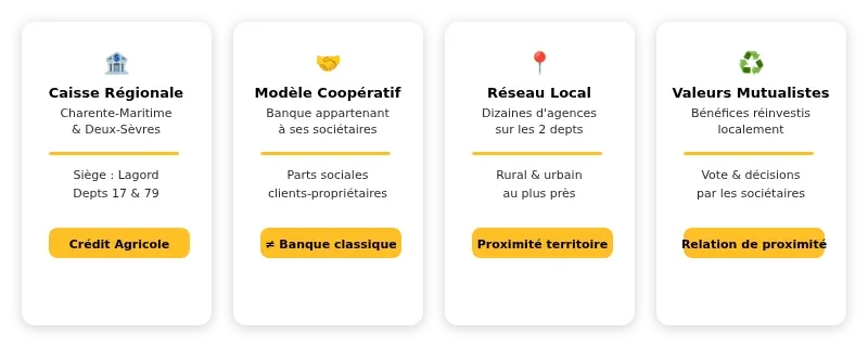 Infographie cacmds