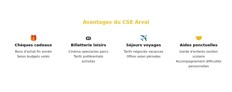 Infographie cse arval