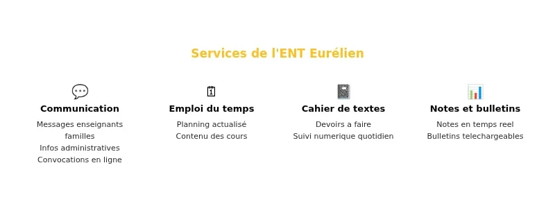 Infographie ent eurelien