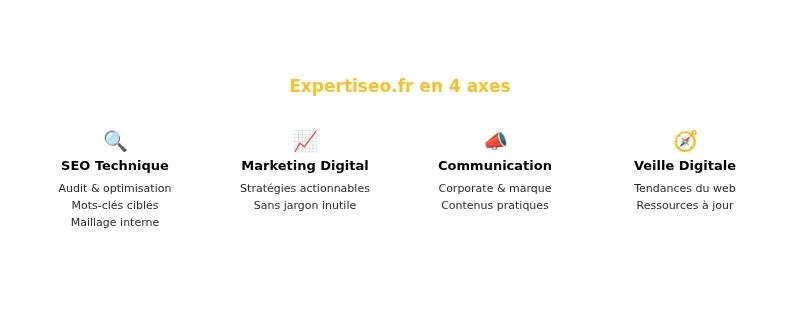 Infographie expertiseo fr