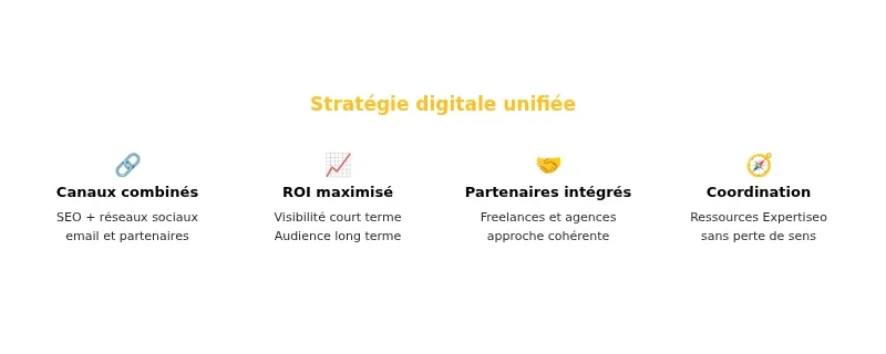 Infographie expertiseo fr