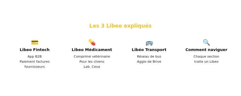 Infographie libeo