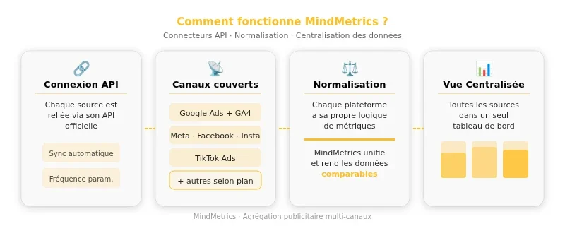Infographie mindmetrics