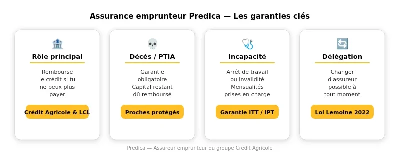 Infographie predica
