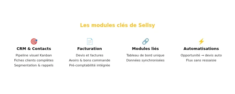 Infographie sellsy