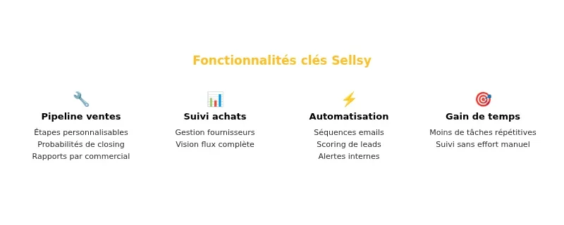Infographie sellsy