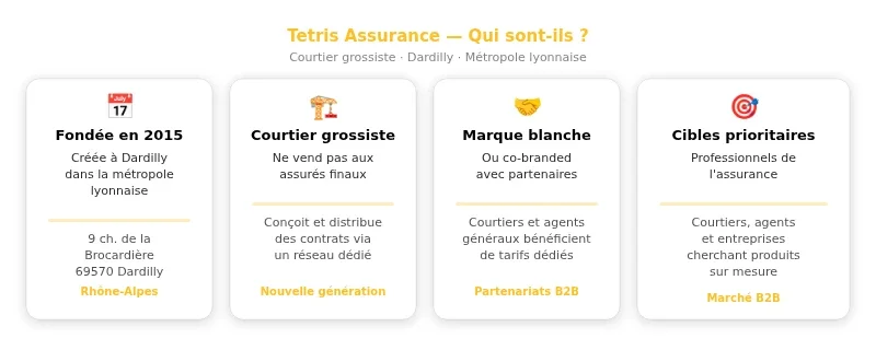 Infographie tetris assurance
