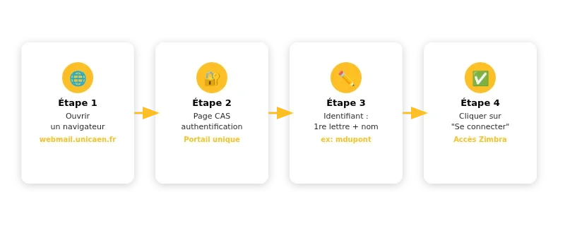Infographie zimbra unicaen